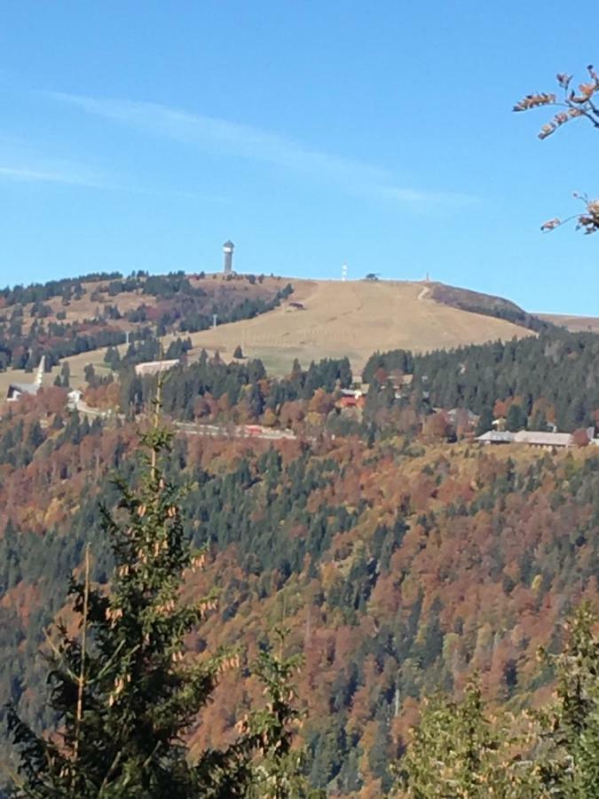 Chalet Breitnauschoen Екстериор снимка